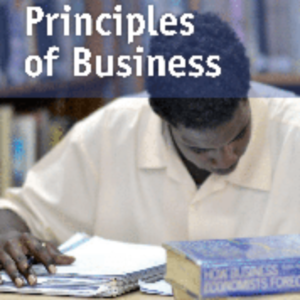 CSEC Principles of Business January 2009 Paper 2