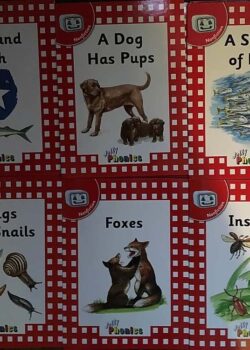 Jolly Readers Red Series: Star & Fish, A Dog has Pups, A Shoal of Fish, Slugs and Snails, Foxes & Insects